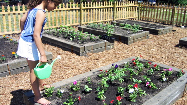 SILVER BELLS AND COCKLE SHELLS NOT INCLUDED. There are six community gardens in Eau Claire, including this one in North River Front Park, which is geared for kids – so get involved, learn, and have fun.