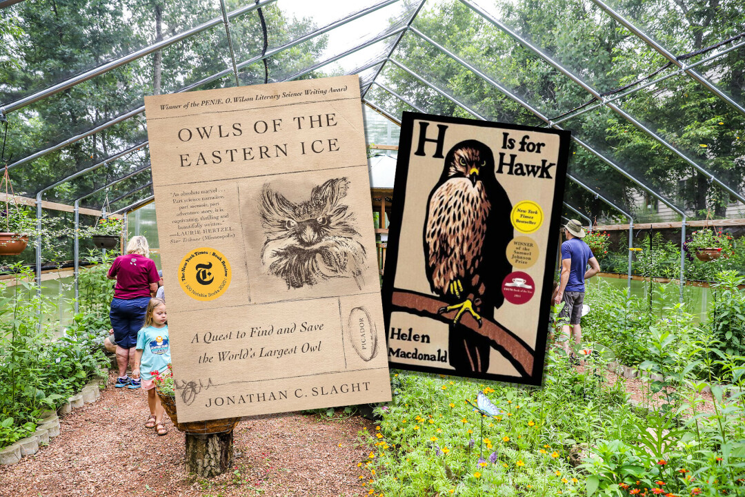 READY TO READ. Beaver Creek Reserve launched a new nature-themed book club in November.