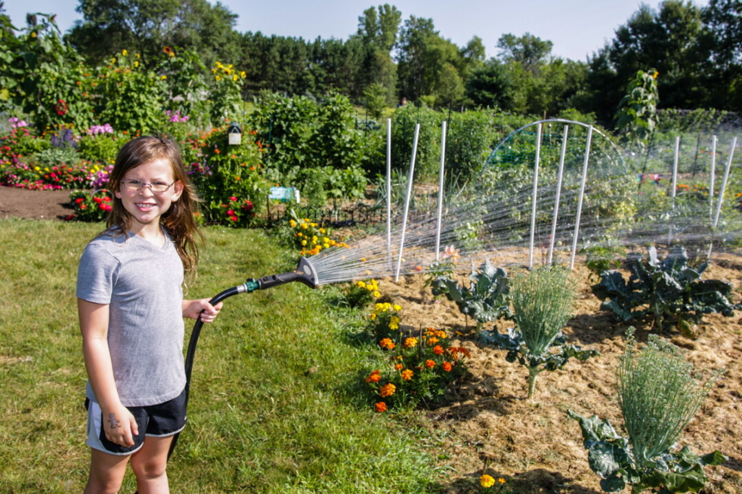 Community gardens, like this one in Menomonie, also offer opportunities for kids to cultivate their plant prowess. (Photo by Andrea Paulseth)