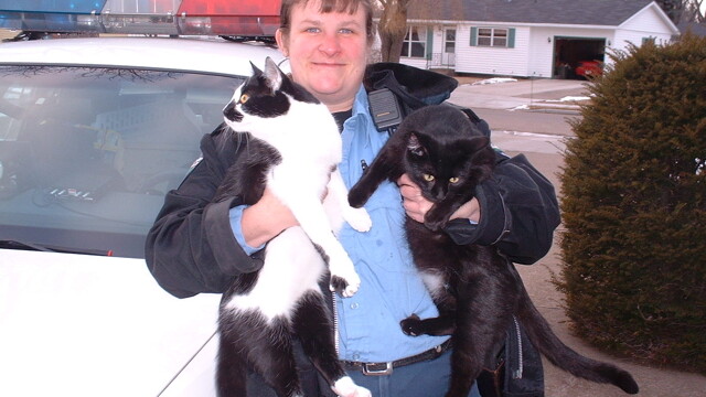 Former animal control officer Amy Peck and a few kitty rescues.