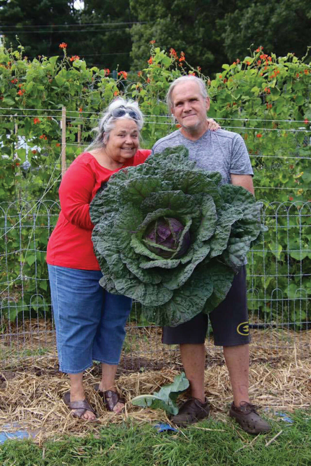 Mary and Charles Smith with their enormous cabbage.