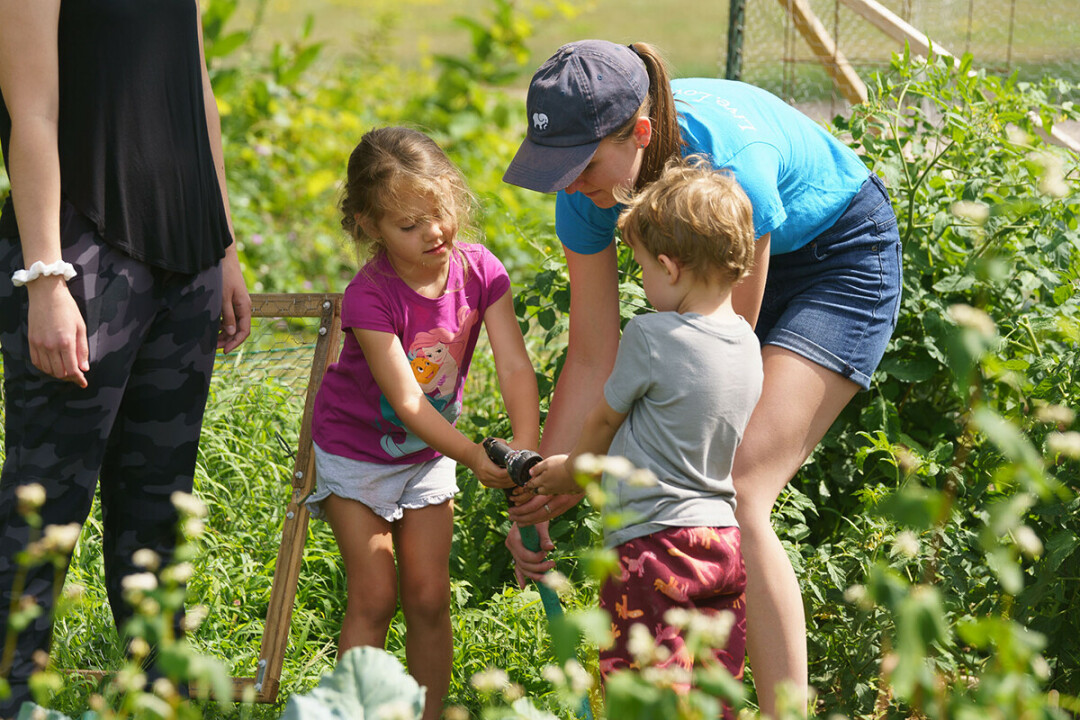 Graduate student Sarah Gifford works in an Eau Claire community garden with children who are part of the CSD’s Kids Communicate Garden Group. While they grow and tend to the garden, the preschoolers are working on a variety of communication skills in a more natural setting. (Photo by Bill Hoepner)