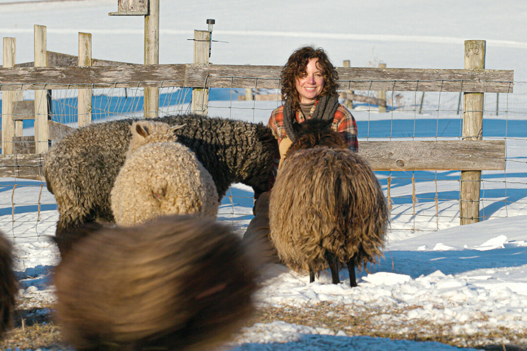 Melissa Todd of Wool & Feather Farm in Colfax attends to her sheep in the pasture in a scene from the upcoming PBS Wisconsin broadcast special “Around the Farm Table Celebrates Small Farms.”