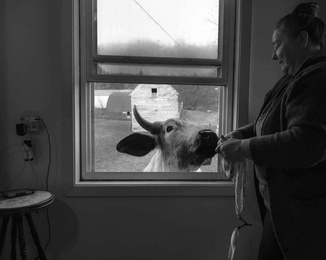 TIS THE SEASON. Photographer Erinn Springer depicts life in rural Dunn County in her book, Dormant Season. 