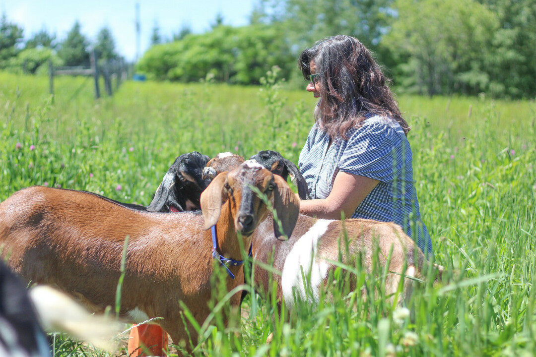 THEIR OWN WORLD. Bifrost Farms offers a little bit of everything from their own homemade grub to its goat farm, to its boarding kennel for dogs. (Photo by Brittany Olson)