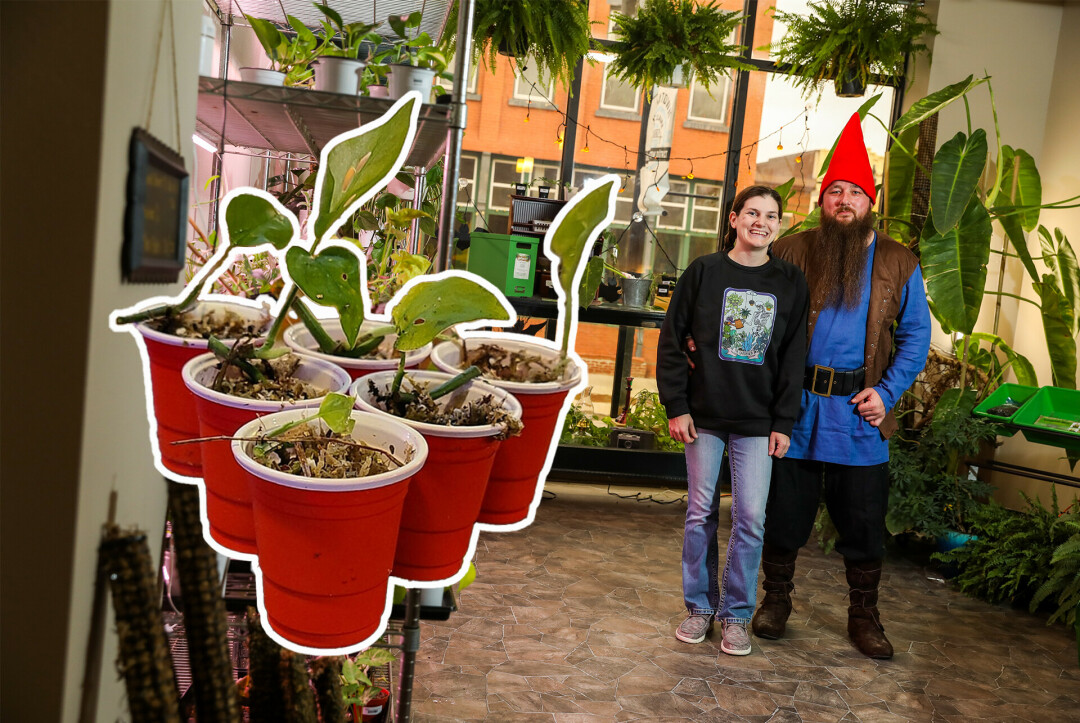 BALLS BACK. Take your shot at winning a free plant propagation cup with Plant Pong at Verdant Curiosities.