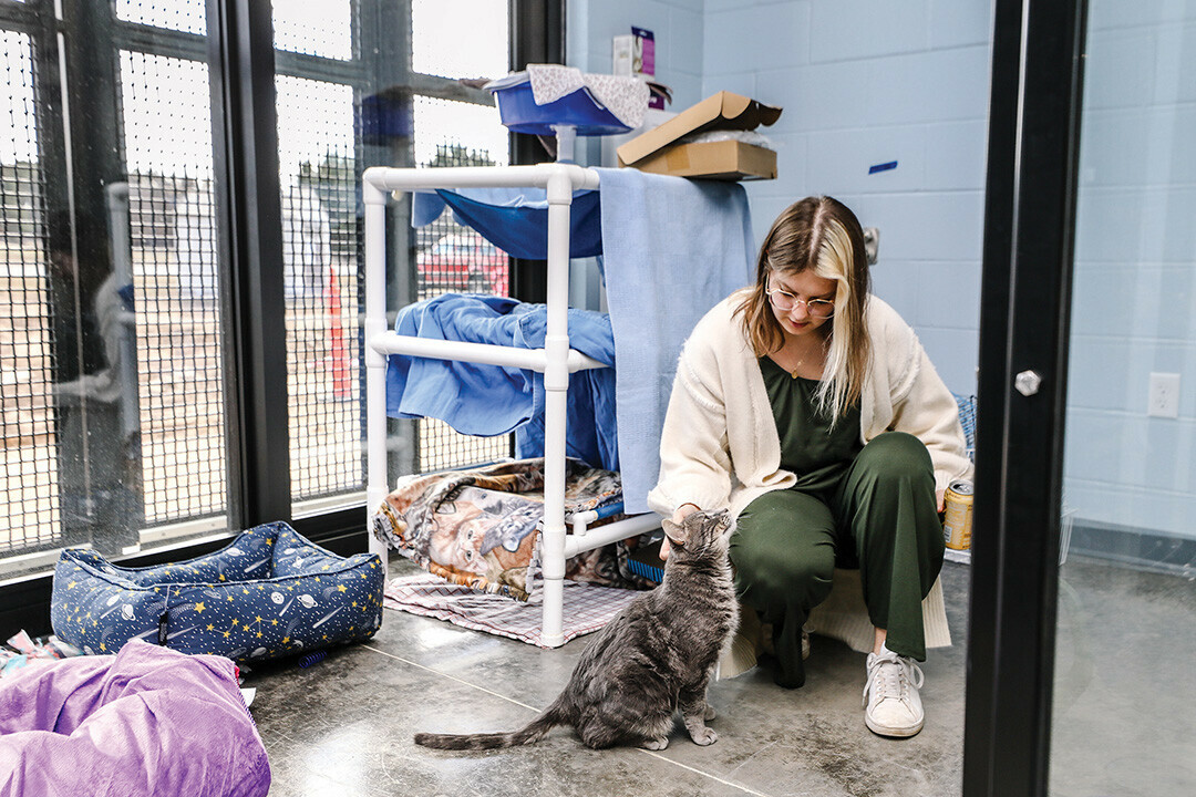 THE PURR-FECT NEW PLACE. The Eau Claire County Humane Association moved into a newer, larger facility earlier this spring, which offers a more spacious environment for both animals and humans.