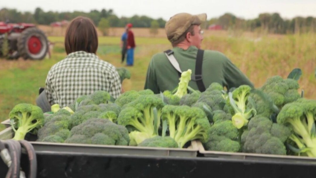 A still from an Around the Farm Table webisode.