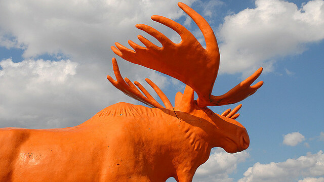 Big orange moose, y'all. Image.
