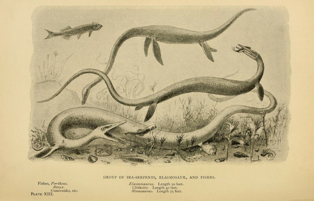 Back when serpents were legitimate nautical hazards and had their own taxonomies.
