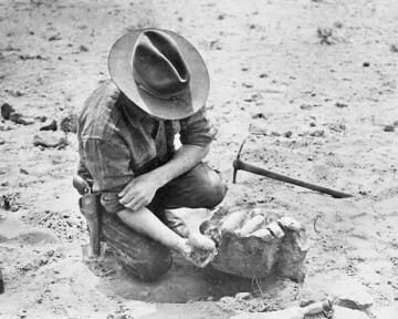 Chapman seen here making the world's first discovery of dinosaur eggs. Probably because he was bored.